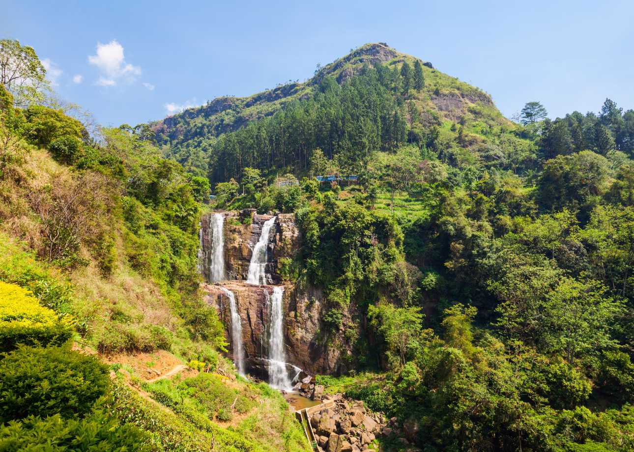 5-Day Private Country Side Tour with Ella, Udawalawe