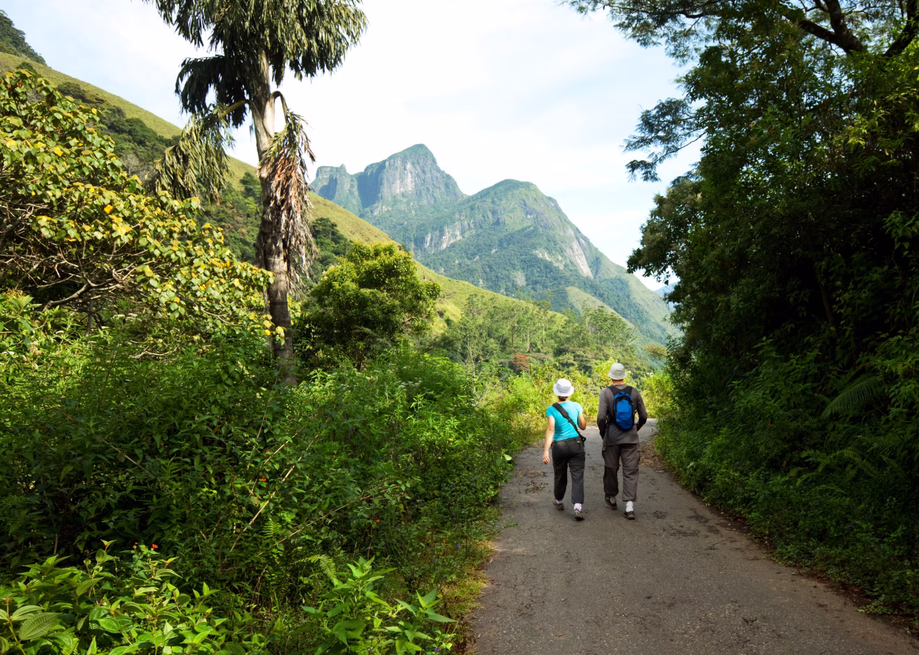 2-Day wildlife tour; rainforest and National park