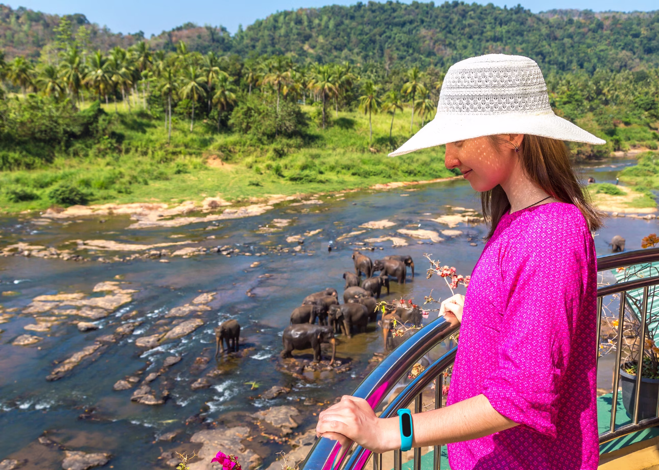 Full-Day Kandy Cultural & Nature Tour