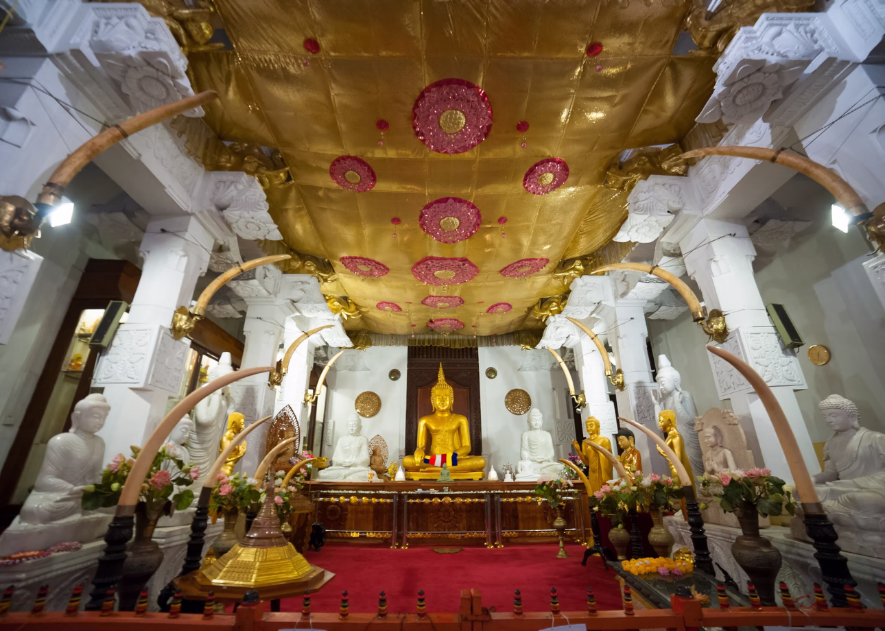 Sri Lanka private tour package highlight 3
