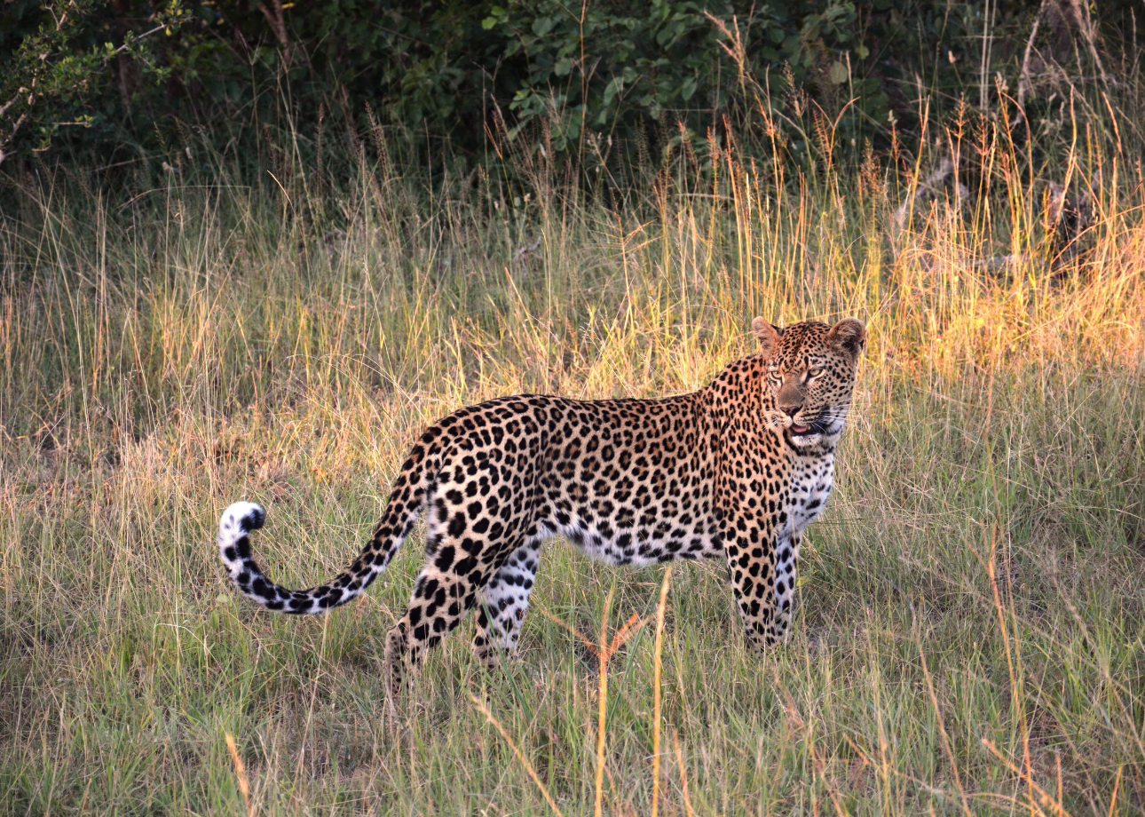 Private 7-Day Sri Lanka Tour — Culture, Wildlife & Beaches