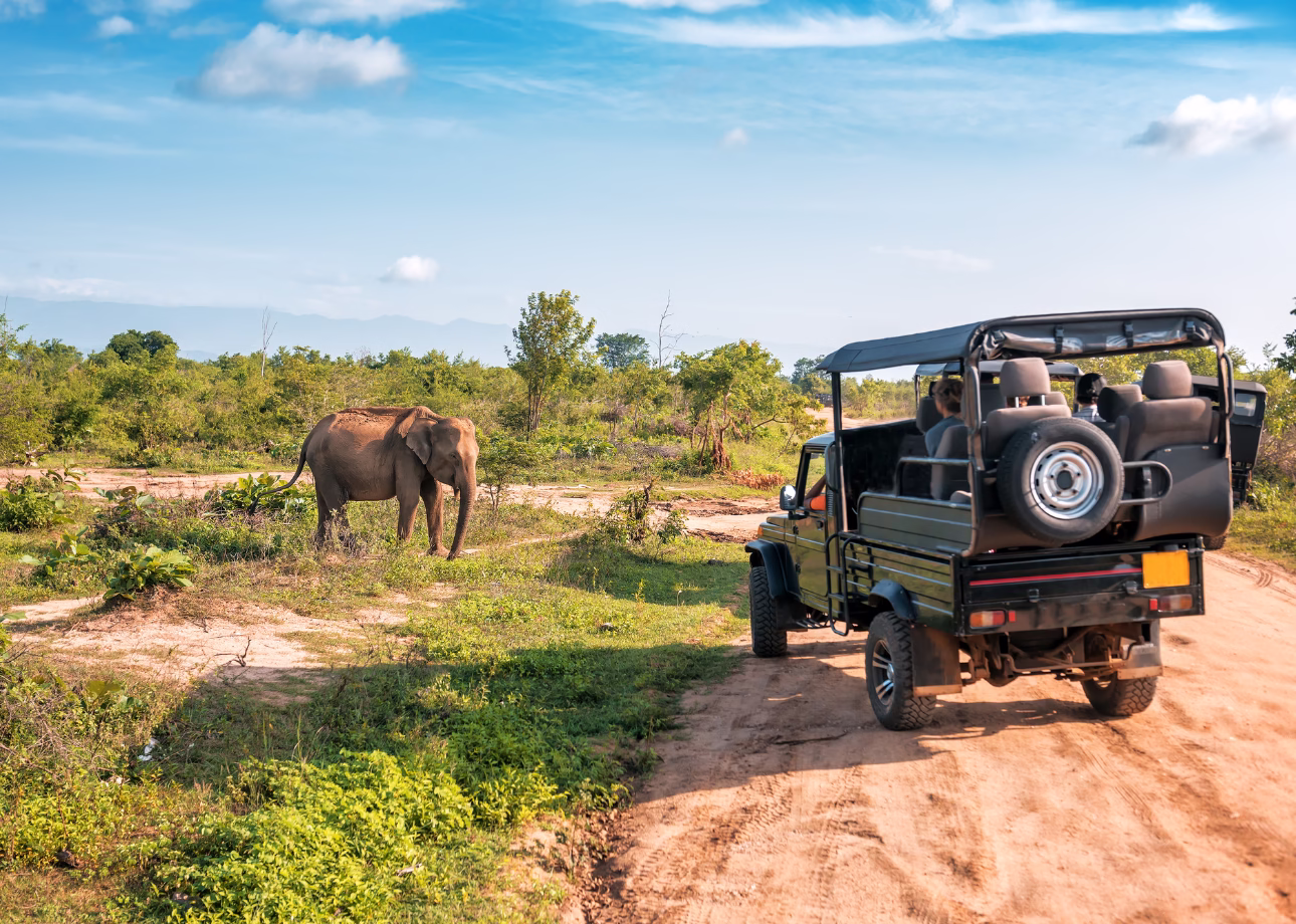 Sri Lanka Private 3-Day Hill Country Tour with Train Ride