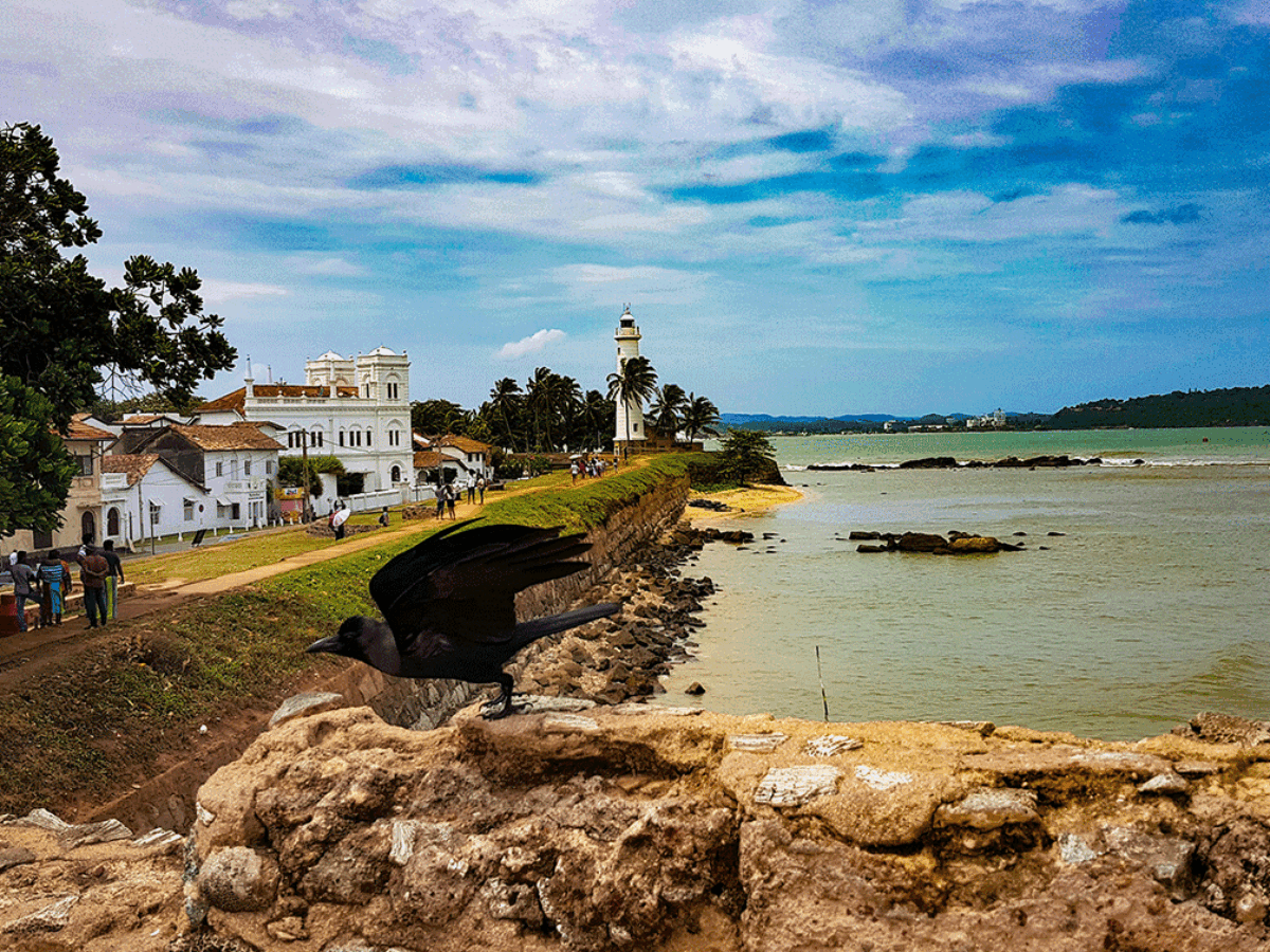 Roinnt Gaeltachtaí láidre ag neartú, image size:1200x900