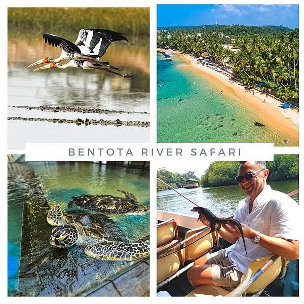 Madu river safari, 1 day tour