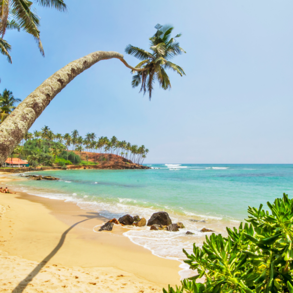 The Best Places in Sri Lanka