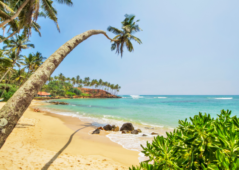The Best Places in Sri Lanka
