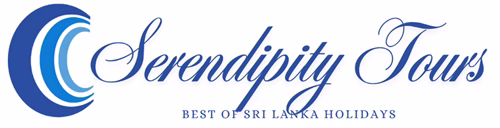 Serendipity Tours Private Limited Main Logo